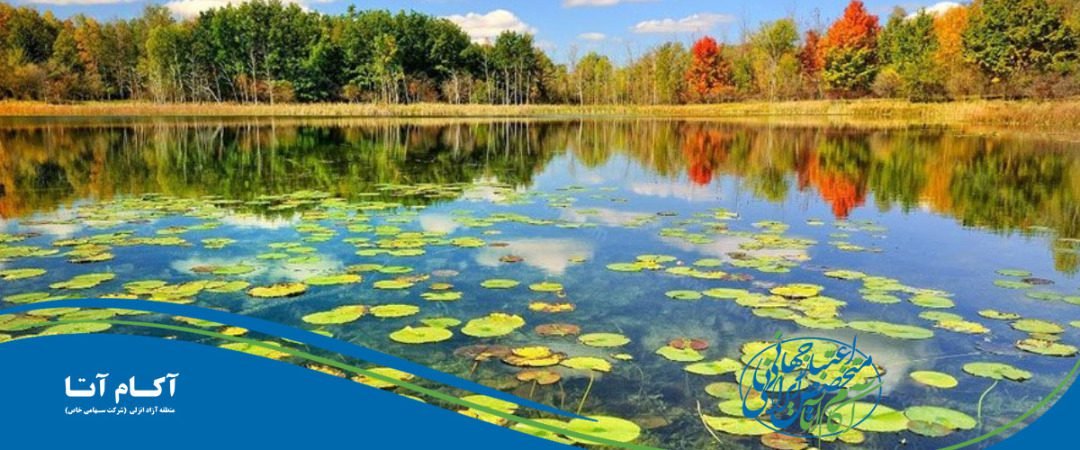 تابستان کجا برویم؟ سفر به شمال مسافرت گیلان بندر انزلی تالاب مرداب تصویر زیبا عکس