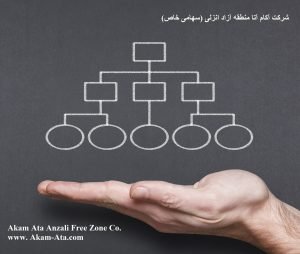 سی لول C-level چیست؟ بالاترین مدیران شرکت آکام آتا-