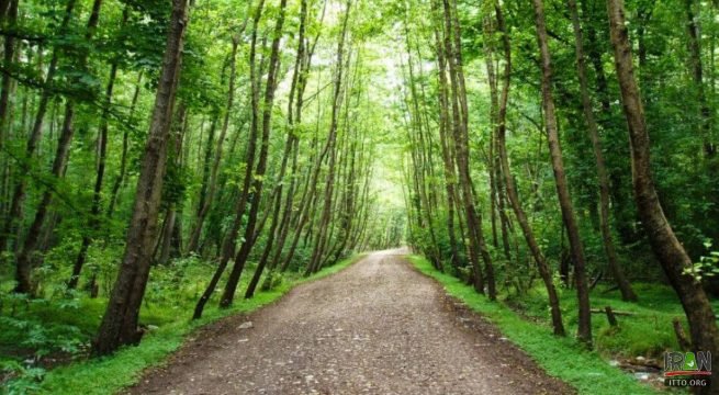 قیمت طراحی سایت در نور