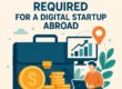 سرمایه اولیه موردنیاز برای استارتاپ دیجیتال در خارج